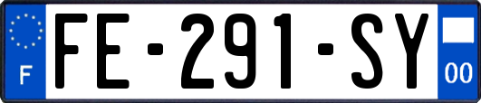 FE-291-SY
