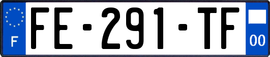 FE-291-TF