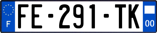 FE-291-TK