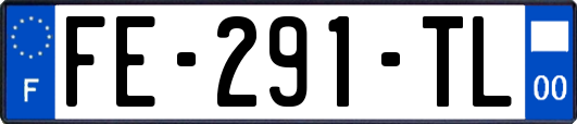 FE-291-TL