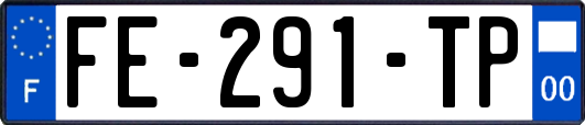 FE-291-TP