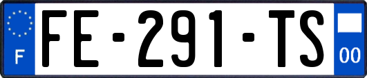 FE-291-TS
