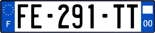 FE-291-TT