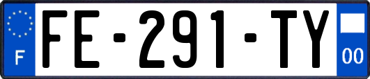 FE-291-TY