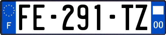 FE-291-TZ