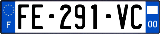 FE-291-VC