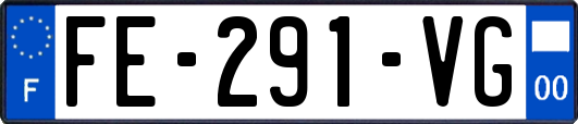FE-291-VG