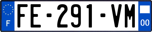 FE-291-VM