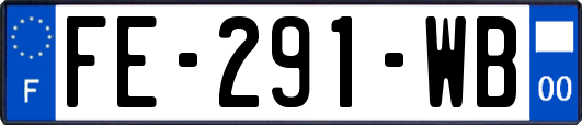 FE-291-WB