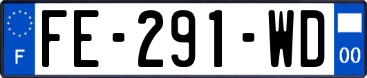 FE-291-WD