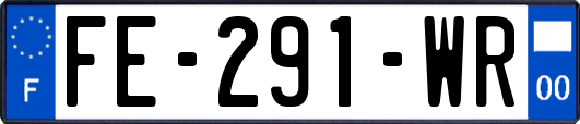 FE-291-WR