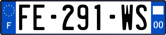FE-291-WS