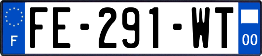 FE-291-WT