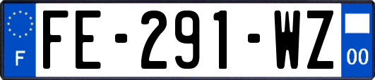 FE-291-WZ