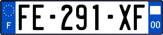 FE-291-XF
