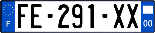 FE-291-XX