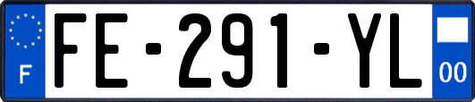 FE-291-YL