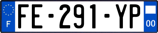FE-291-YP