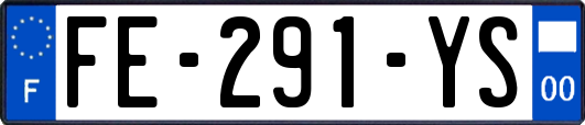 FE-291-YS