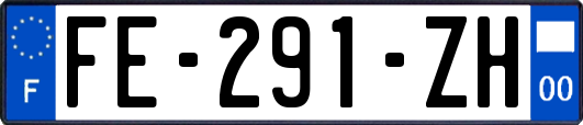 FE-291-ZH
