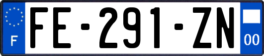 FE-291-ZN