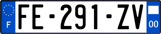 FE-291-ZV