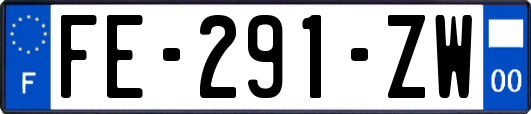 FE-291-ZW