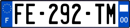 FE-292-TM