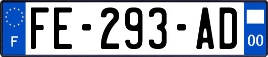 FE-293-AD