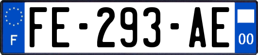 FE-293-AE