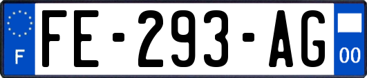 FE-293-AG