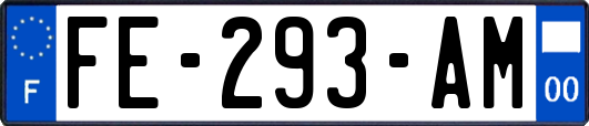 FE-293-AM