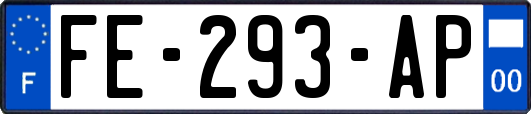 FE-293-AP