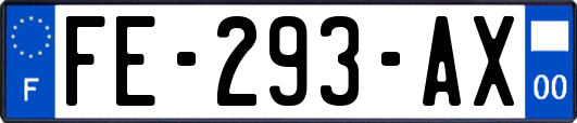 FE-293-AX