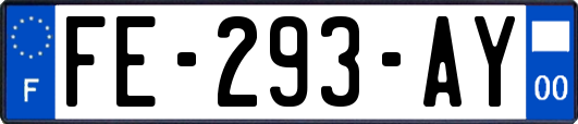 FE-293-AY