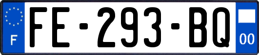 FE-293-BQ
