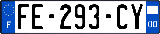 FE-293-CY