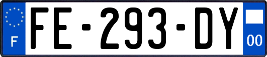 FE-293-DY