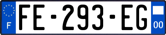FE-293-EG