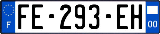 FE-293-EH
