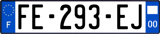 FE-293-EJ