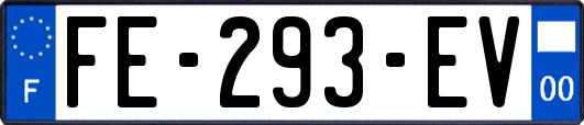 FE-293-EV