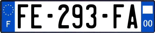 FE-293-FA