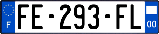 FE-293-FL