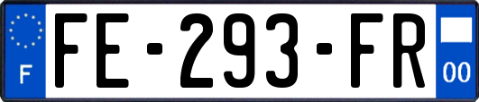 FE-293-FR