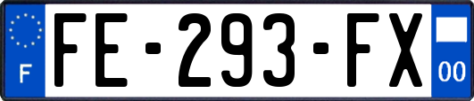 FE-293-FX