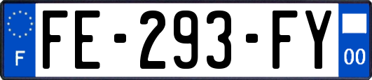 FE-293-FY