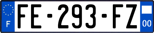 FE-293-FZ