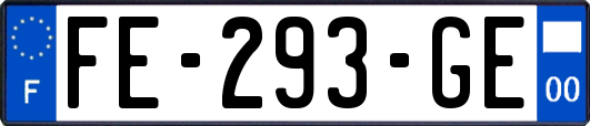 FE-293-GE