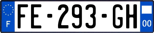 FE-293-GH